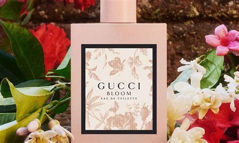 gucci bloom como huele|gucci bloom 2017.